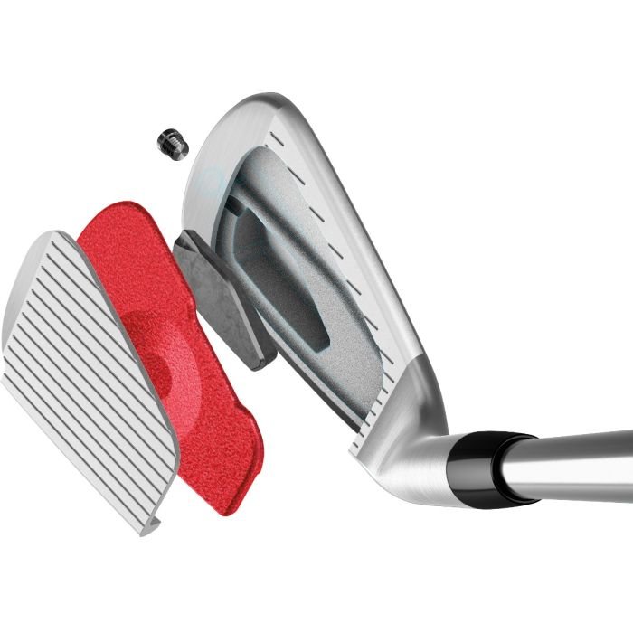 TaylorMade P770 Irons- Carl's Golfland