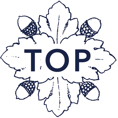 ぼくの地球を守って LIVE 〜BRIDGE of LIGHT〜