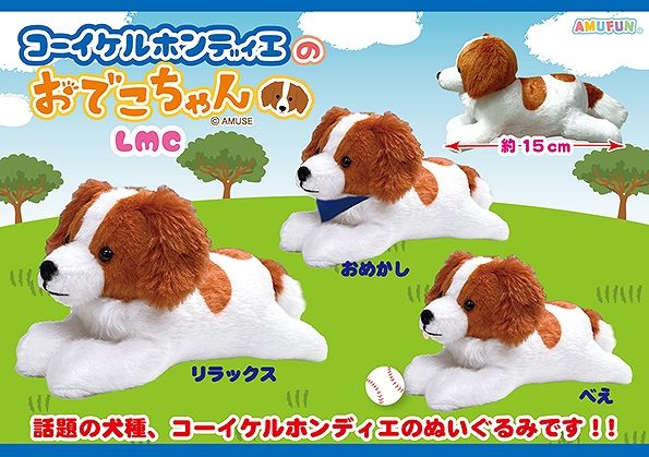 ≪11月の新商品≫コーイケルホンディエのおでこちゃん-NEW ITEM