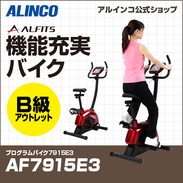 ALINCO直営店 Presents/ウィンターセール