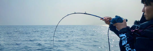 翠渓 硬調 | alphatackle