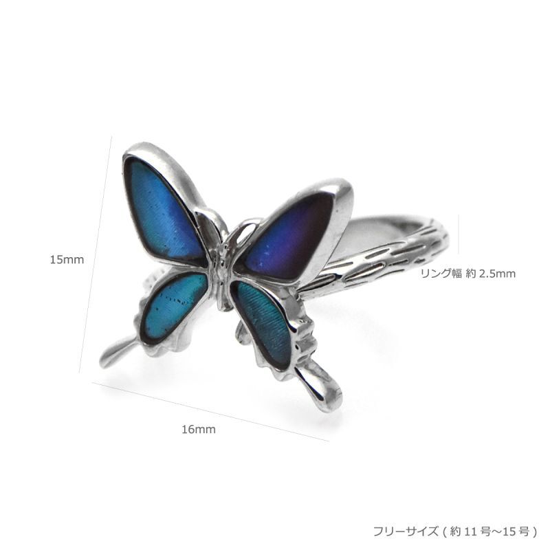 ゼフィリティスモルフォ 蝶の翅 シルバー 925 リング 指輪 【Psyche