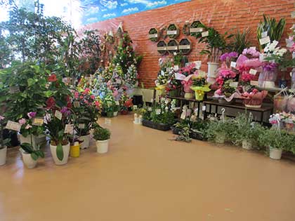 フロアトップアクアフォルティス | アトミクス株式会社