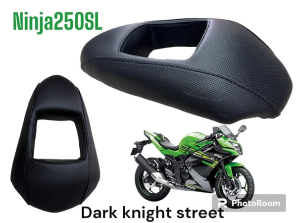 DKS NINJA250SL 穴あき スタント用 リアシート｜AxxL