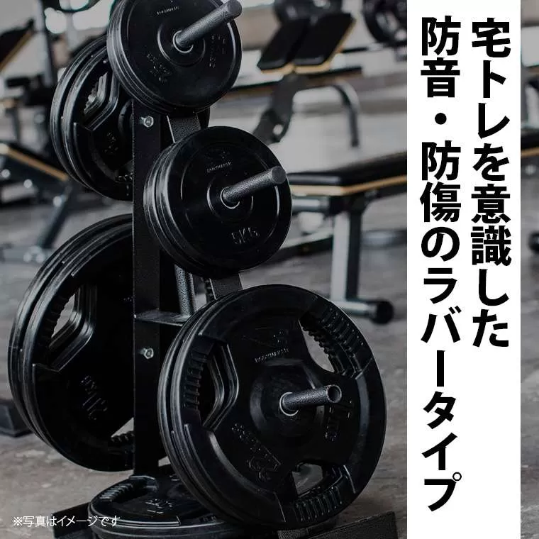 ラバープレート2 1．25kg 2個セット PR009125ST｜BODYMAKER