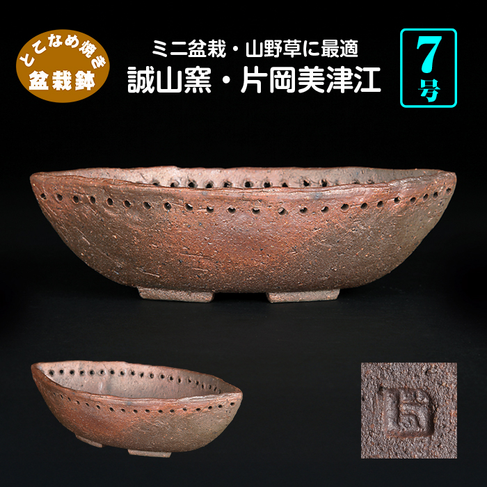 常滑鉢 | 盆栽、盆栽書籍、盆栽鉢の通販│近代出版