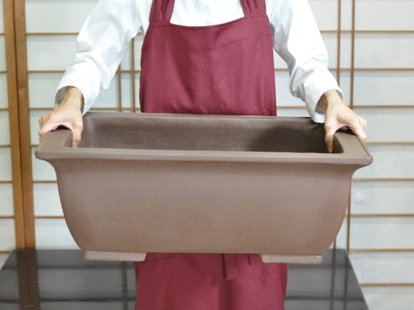 紫泥長方中深 盆栽鉢20号 鉢幅60cm×奥行き43cm×高さ22cm を販売｜盆栽