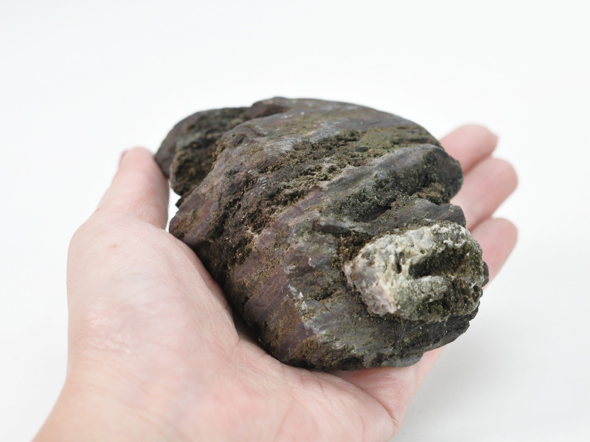 飾り石 伊予の青石(小～中)3個セットの販売｜盆栽妙 – 盆栽妙 本店