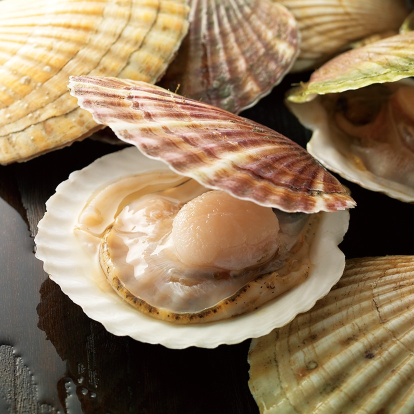 さくさく日記［詰合せ］20袋入: さくさく日記｜坂角総本舖（えび