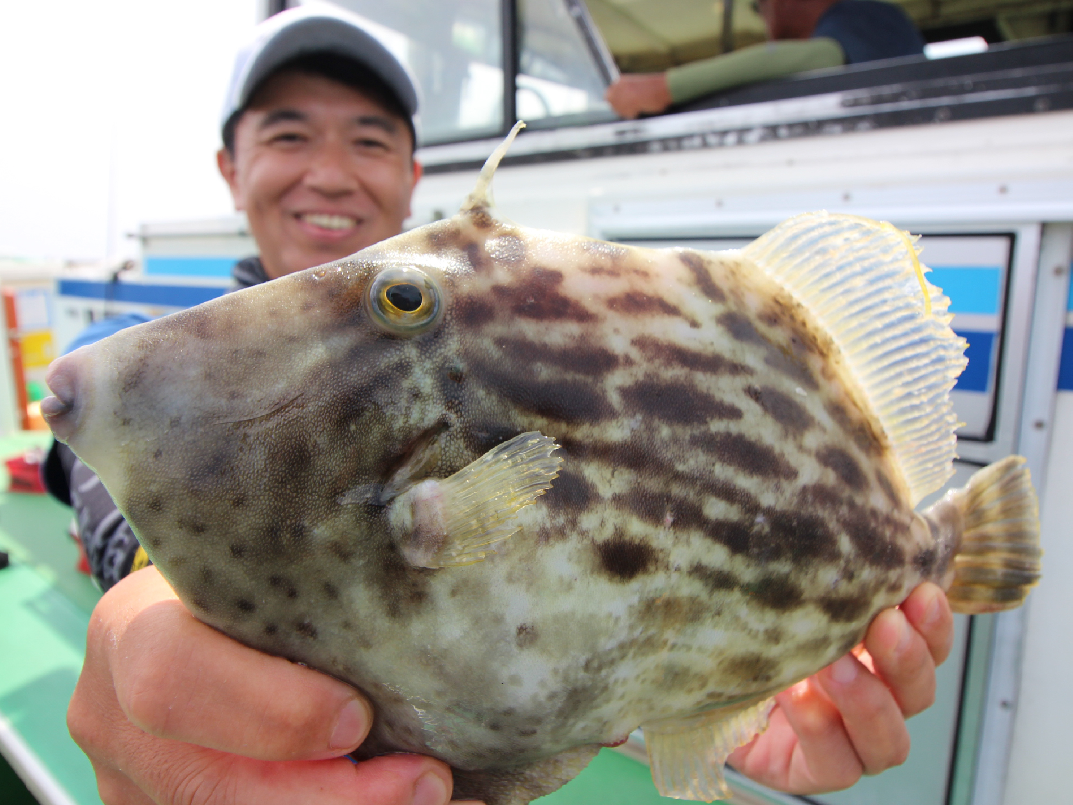 エクスシグナル カワハギ | がまかつ