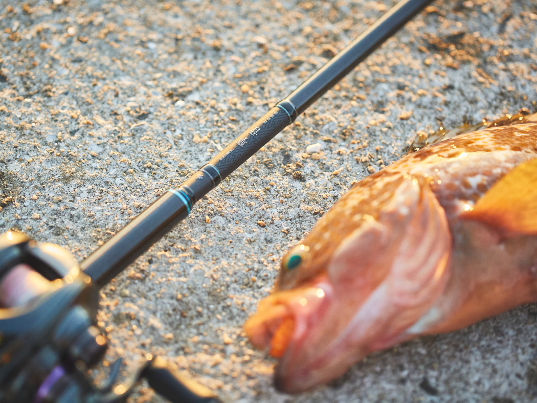 ラグゼ 寧音 | がまかつ