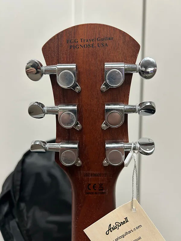 Pignose PGG-200V Flying V Mini Electric Travel Guitar – DSI Guitars