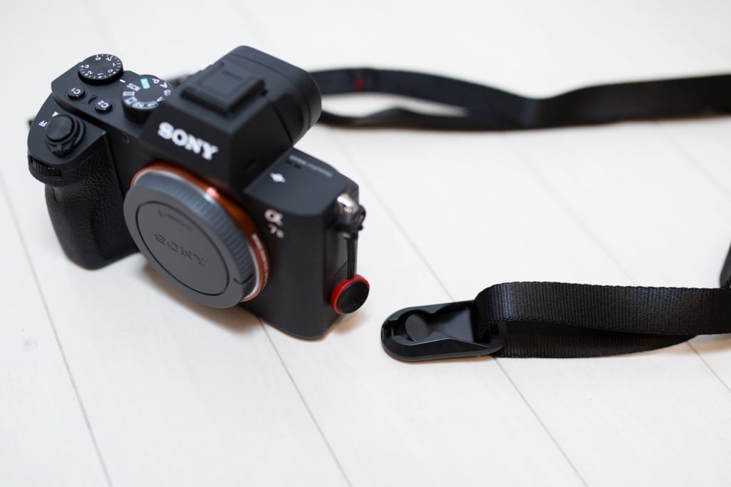おすすめカメラグッズ】SONYのミラーレスカメラ a7 II と一緒に買った