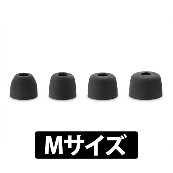SONY WF-1000XM5 付属イヤーピース – e☆イヤホン