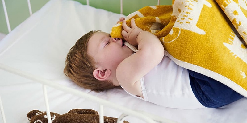 ミニブランケット（シュニールコットン） | サステナブルショップ エ