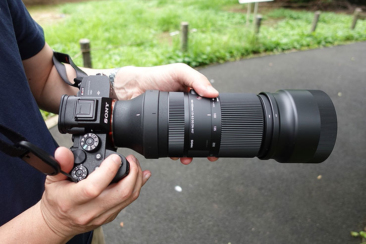 SIGMA 100-400mm F5-6.3 DG DN OS | Contemporary 実写レビュー