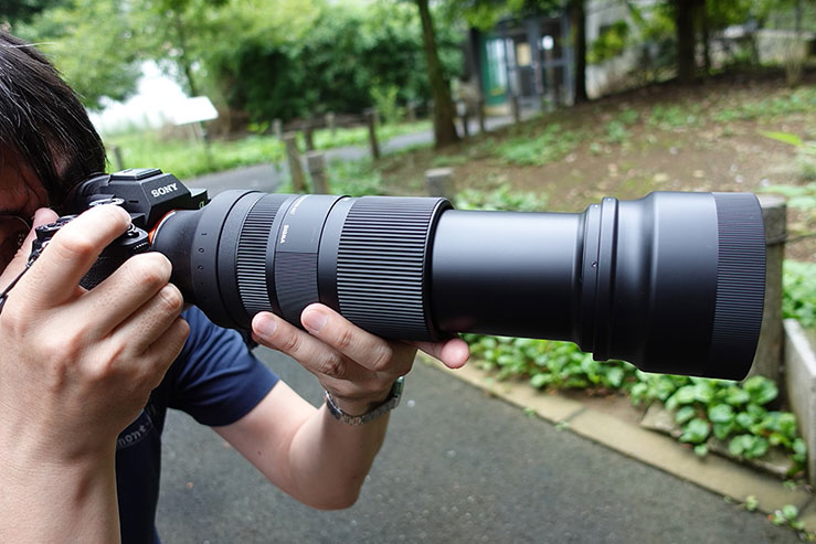 SIGMA 100-400mm F5-6.3 DG DN OS | Contemporary 実写レビュー