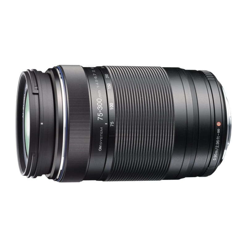 OLYMPUS／OM SYSTEM OM SYSTEM M.ZUIKO DIGITAL ED 75-300mm F4.8-6.7