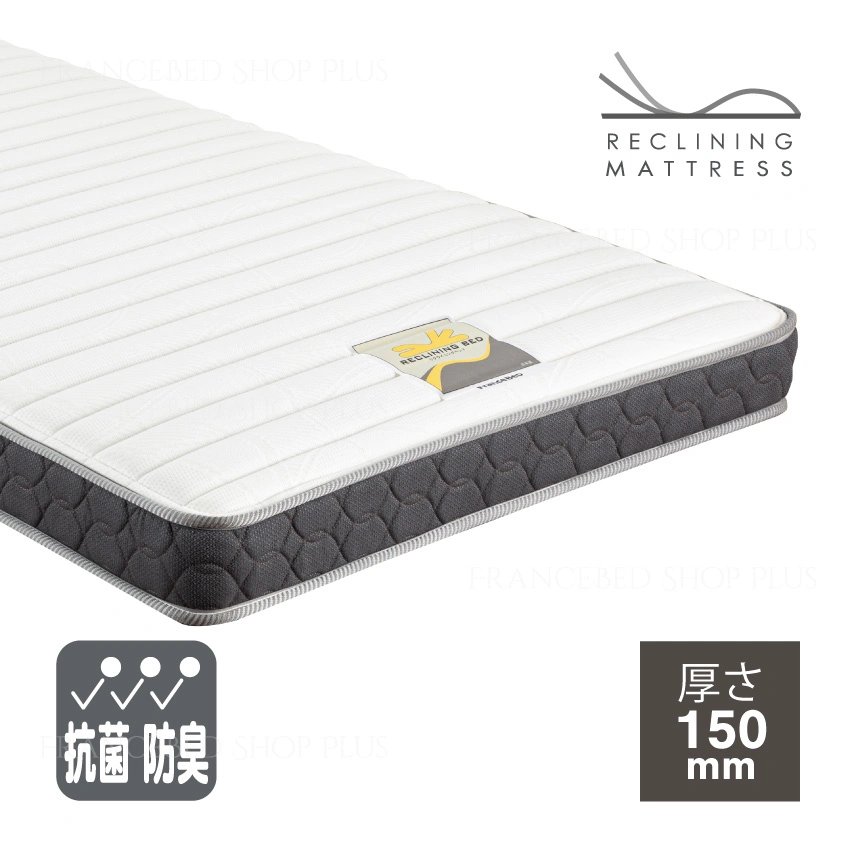 五*山様 フランスベッド 電動介護用ベッド シングルサイズ RE03C a