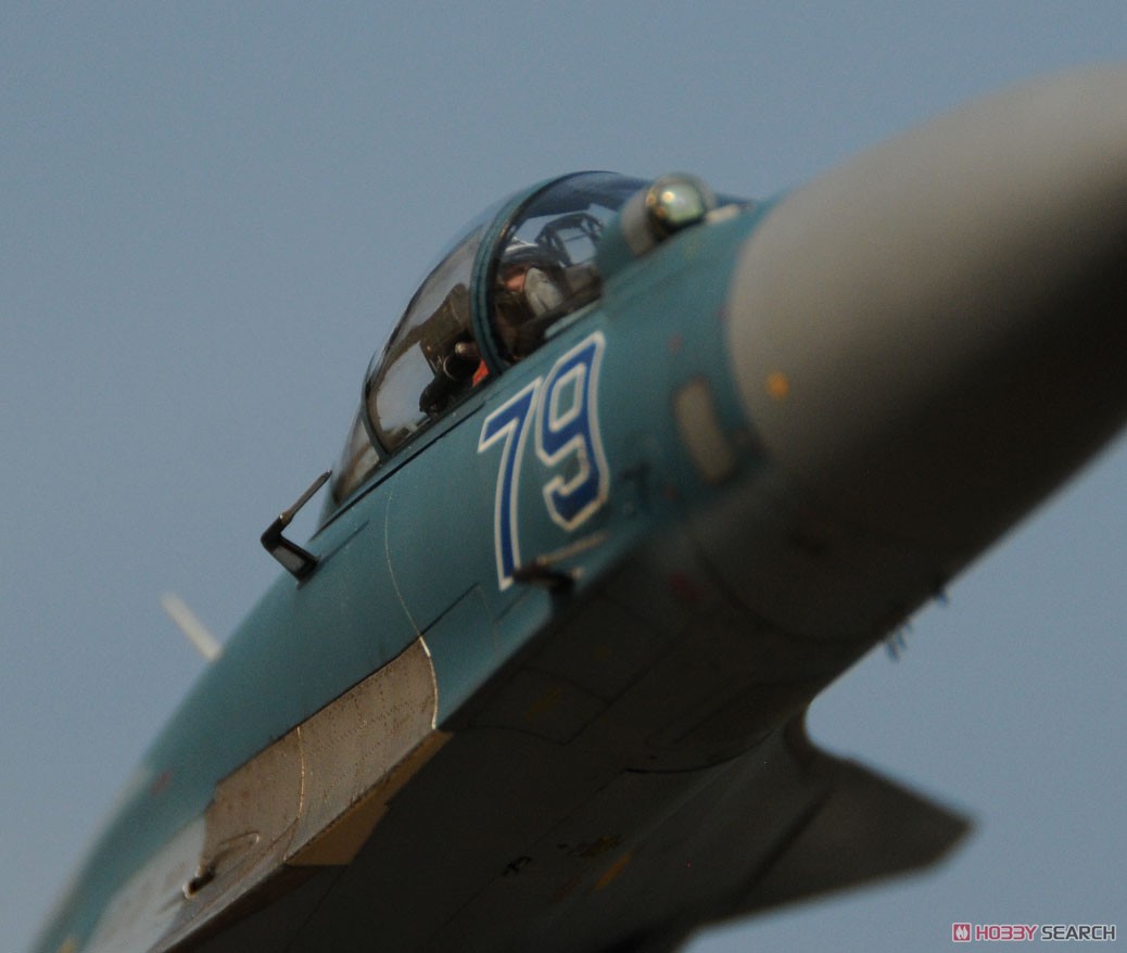 Su-27K シーフランカー w/Kh-41 モスキート (プラモデル) - ホビー