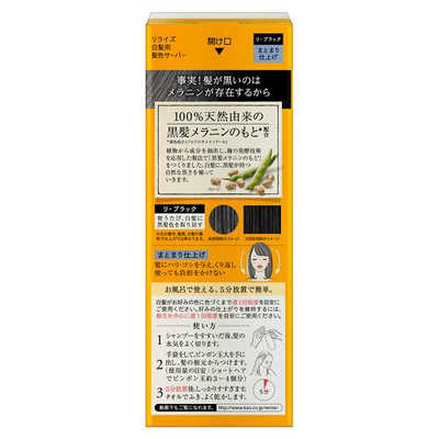 花王 リライズ 白髪染め リ・ブラック 自然な黒さ まとまり仕上げ 男女