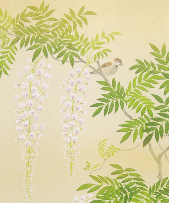 掛け軸 藤の花 （三宅和光） 送料無料 【掛軸】【一間床・半間床】【春