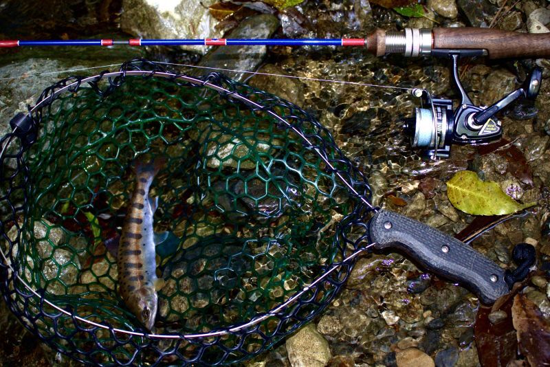 2024年4月分完売御礼☆スピニングWSE-S/4クラシックモデル・ロイヤル