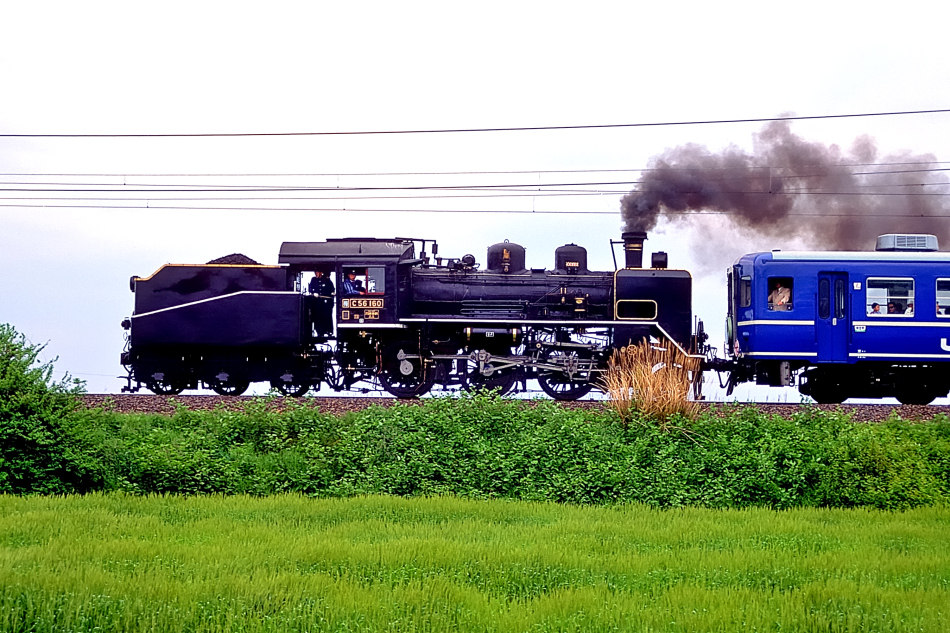 Kano鉄道局 C56 160