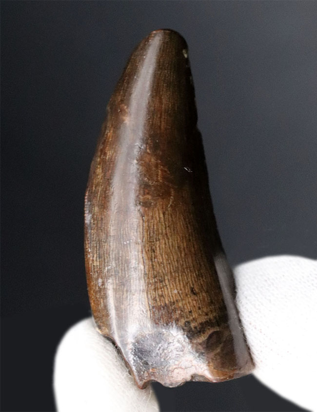 これぞナチュラル＆ジェム！美しきエナメル質を御覧ください