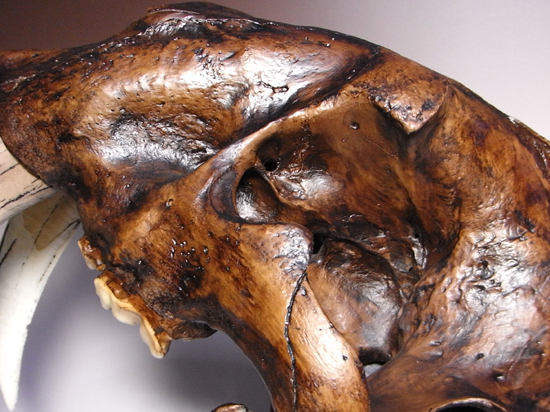 恐竜没後の百獣の王：サーベルタイガーのレプリカ（アンティーク