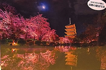 ジグソーパズル 1000ピース 加賀谷穣 JOH KAGAYA アルテミス