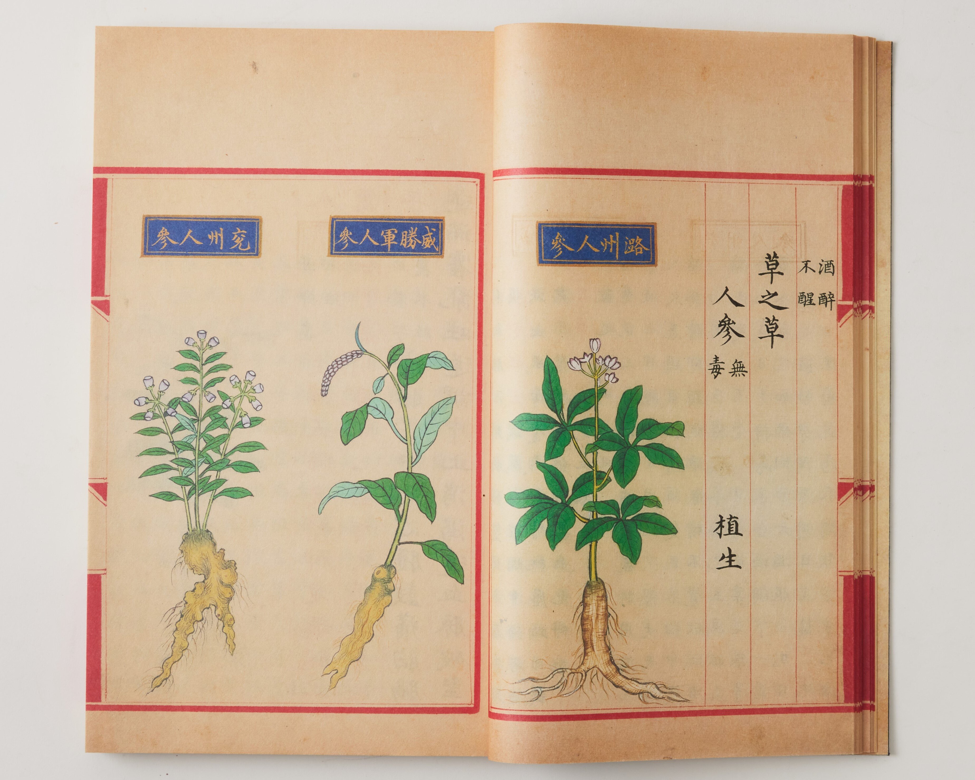 御製）本草品彙精要（ほんぞうひんいせいよう）｜漢方古書の扉｜漢方