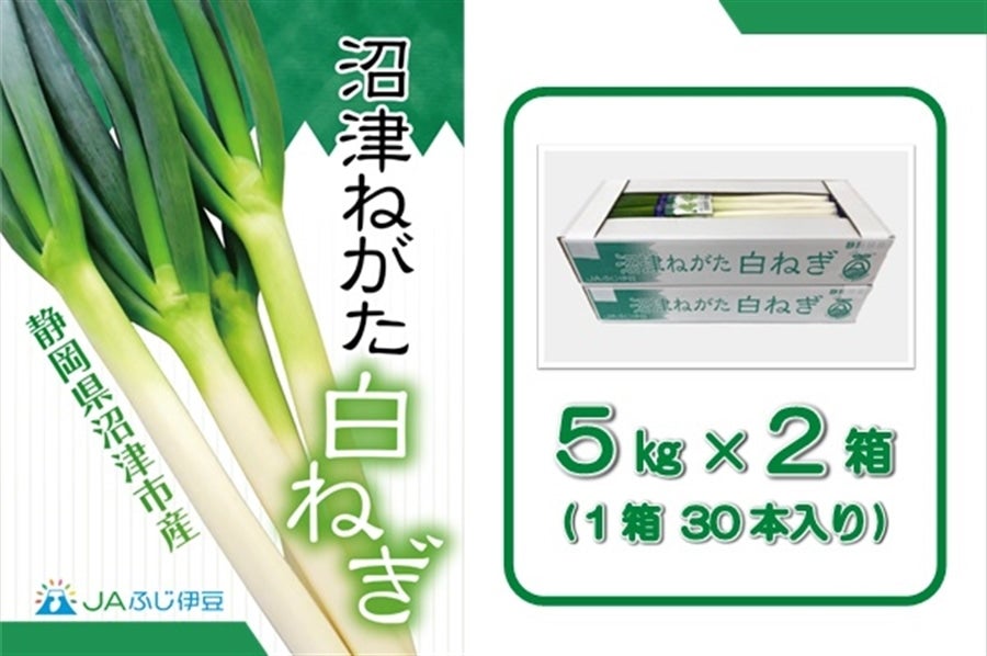 沼津ねがた白ねぎ 5kg×2箱 JAふじ伊豆: しずおか『手しお屋