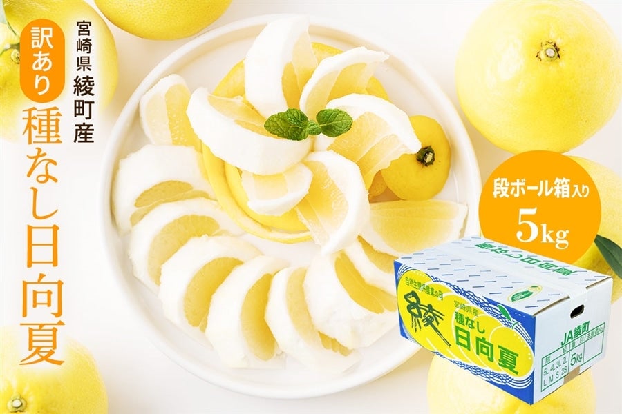 訳あり】種なし日向夏DB 5kg: JAみやざき Tege Mahalo|【JAタウン