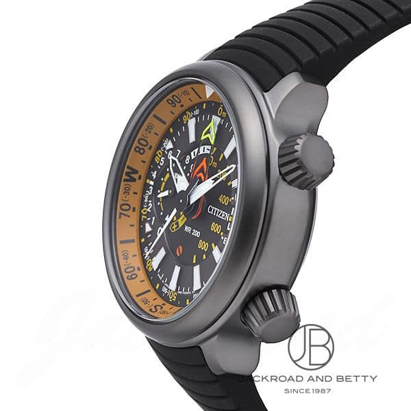 プロマスター ランド エコドライブ アルティクロン[BN4026-09E