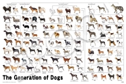未開封やのまん パピーオンパレード 犬 ジグソーパズル 1000ピース