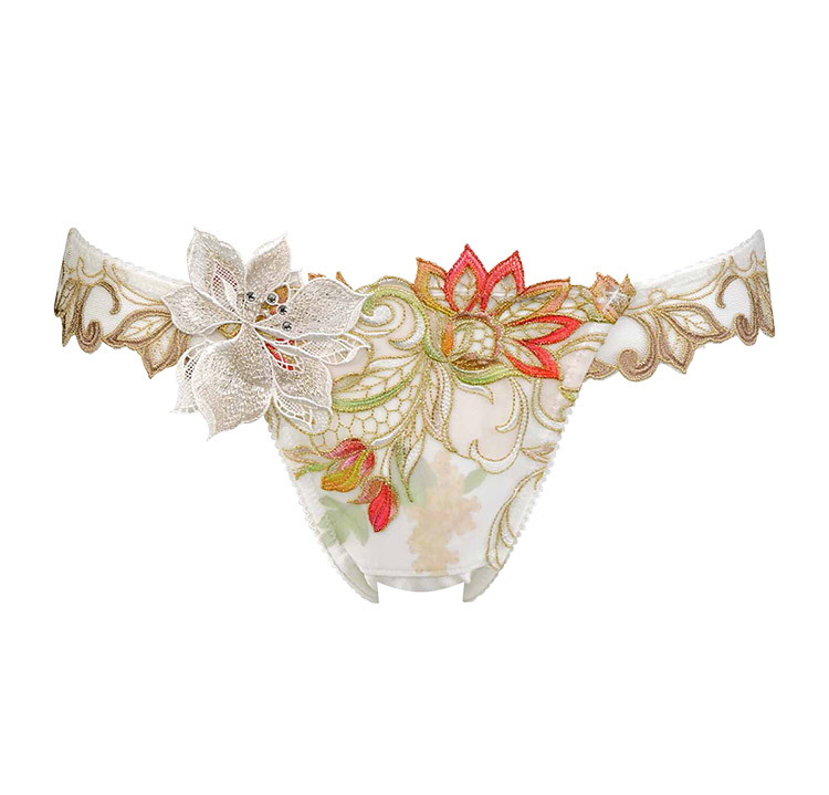 サルート店舗限定40グループ: アンテシュクレ オンラインショップ