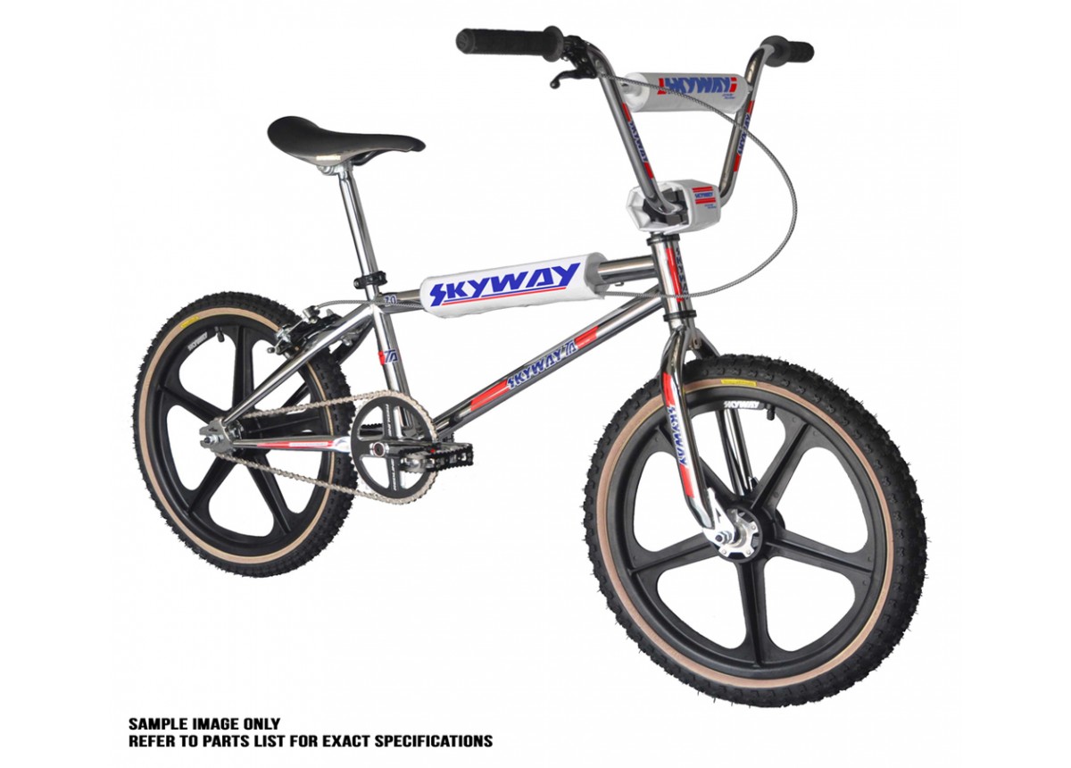 Buy Skyway TA 20 Pro Replica BMX Chrome/Blue – Classic Ride