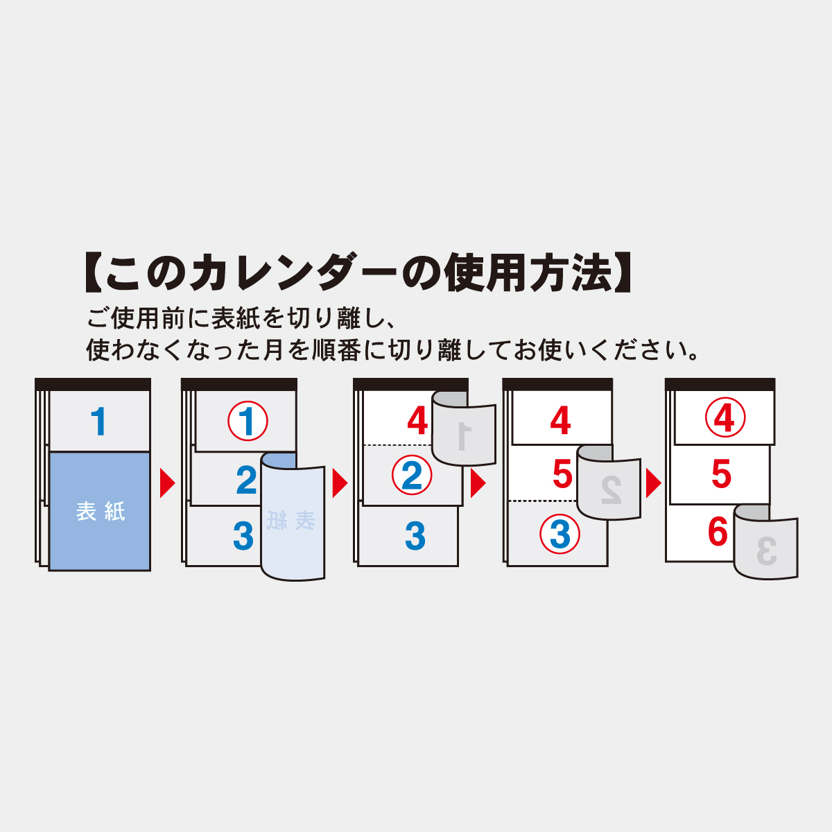 TD-785 ライトカラー3ケ月-上から順タイプ-2026年版の名入れ