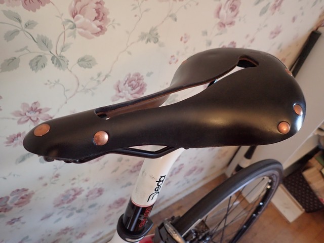 セラアナトミカ レビュー】長距離/ブルベに最高の革サドル