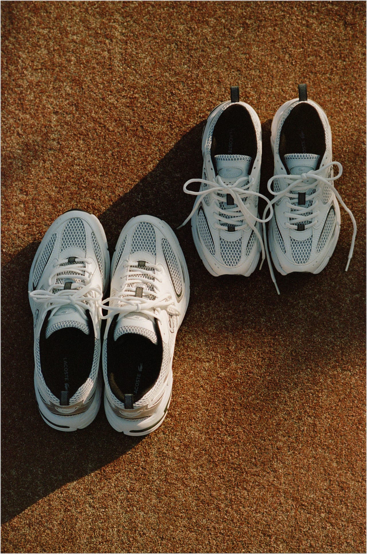 ラコステ」の定番ポロシャツとTシャツが特別仕様に！「アダム エ ロペ