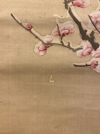 森蘭斎 梅菊小禽図｜古美術・掛け軸の販売・買取・鑑定-松本松栄堂