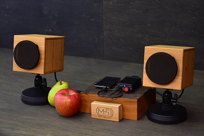 MH audio /WAON take 和音 スピーカー・システム(ペア) - Maestro