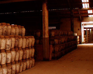 宝酒造 紹興酒塔牌 純五年陳花彫玉珠白磁 500mlの通信販売