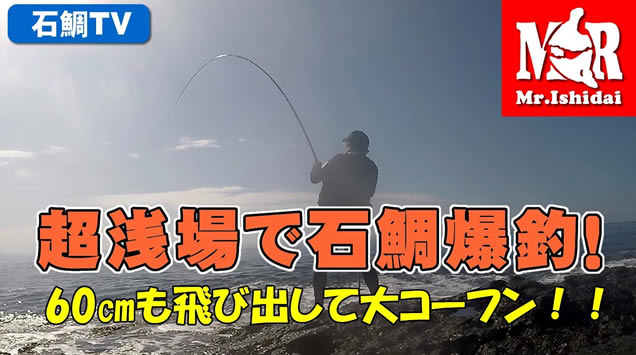 ミスター石鯛ウインドブレーカー ミスター石鯛ウインドブレーカー