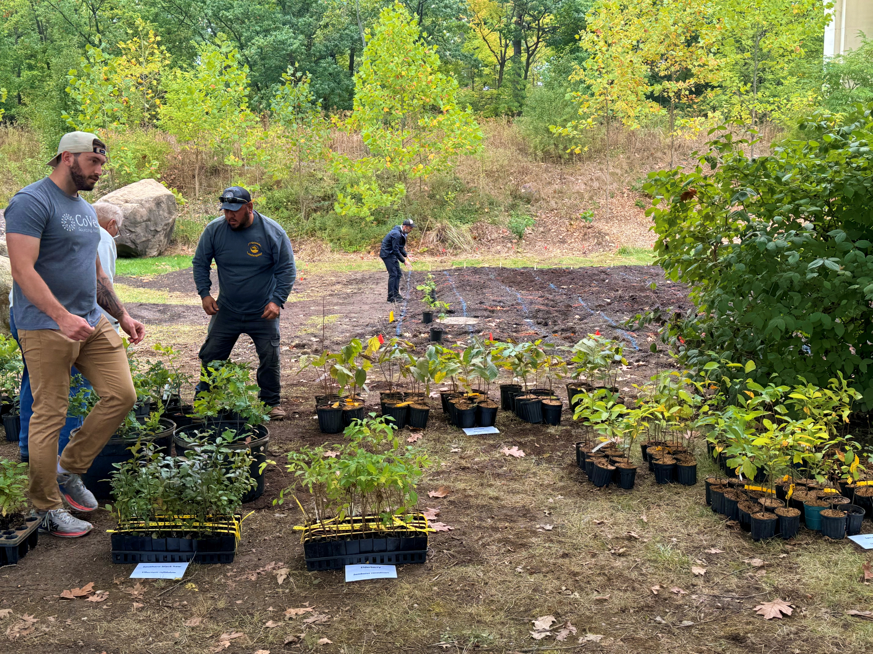 TNH-L-ZOOFOREST-WBOX-1101-02.