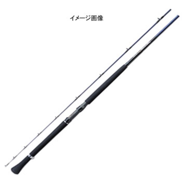 ダイワ(Daiwa) シーパワーV 30/50-240 05291430｜アウトドア用品・釣り