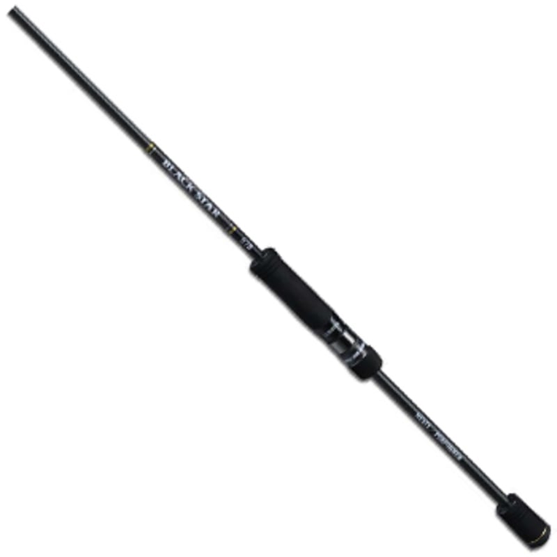 ゼスタ(XeSTA) ブラックスター セカンドジェネレーション S78 マルチ