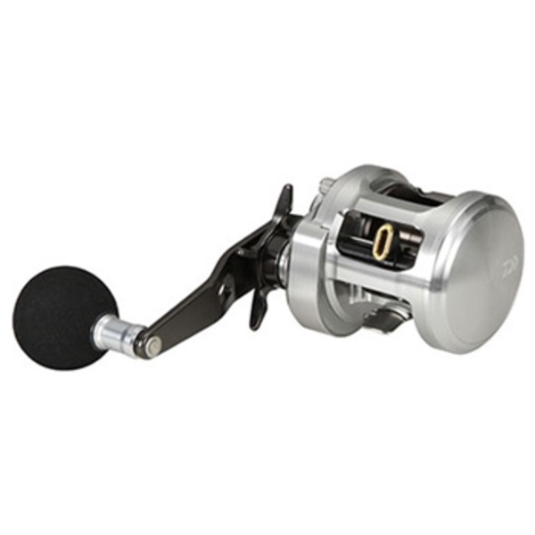 ダイワ(Daiwa) 15キャタリナ BJ200SHL 左巻き 00613706｜アウトドア