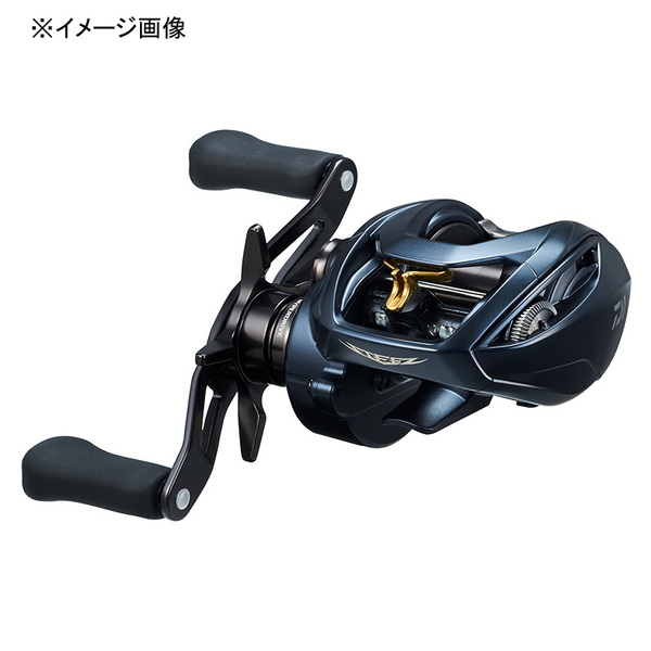 ダイワ(Daiwa) STEEZ AII TW 1000HL(スティーズA2TW) 左ハンドル